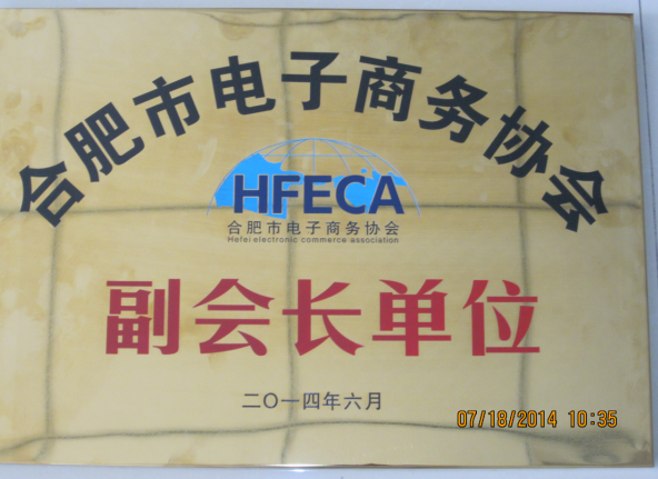 祝贺网罗天下公司任合肥电子商务协会副会长单位